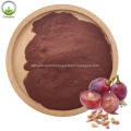 Best selling grape seed extract powder